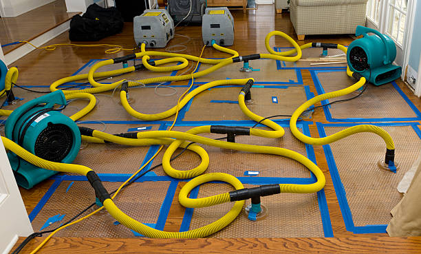 Professional Structural Drying And Dehumidification technician working in Rapid City, MI