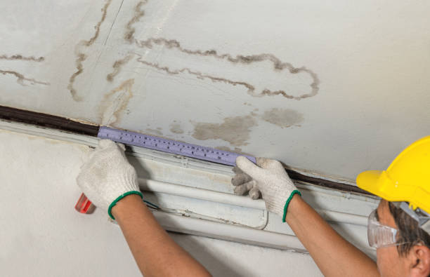 Affordable Water Damage Repair solutions in Rapid City, MI